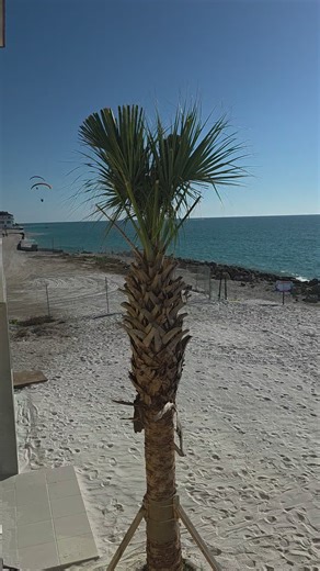 Flying#fly #kite #fy #fl #paradise