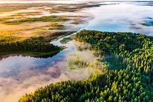 Contact - Austin Taylor Insurance