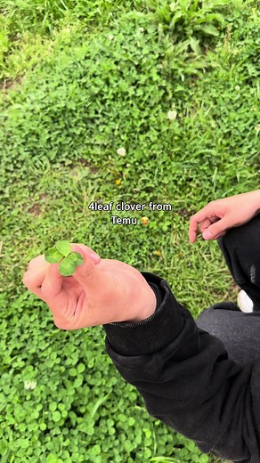 Creative 4-Leaf Clover Prank on Husband | Couple Comedy