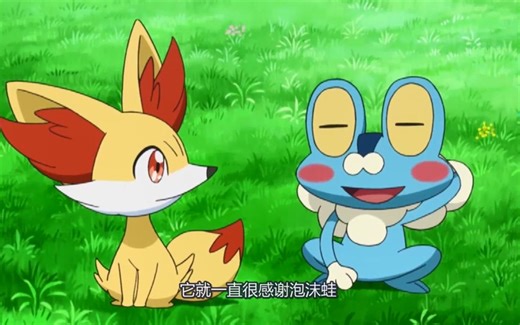 历代女主收服过的所有雌性神奇宝贝，其中一只深爱着皮卡丘