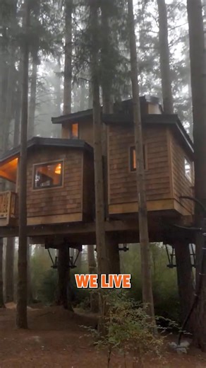 8.7K views · 210 reactions | This Couple Built a Treehouse Paradise! | Tiny House Giant Journey | Facebook