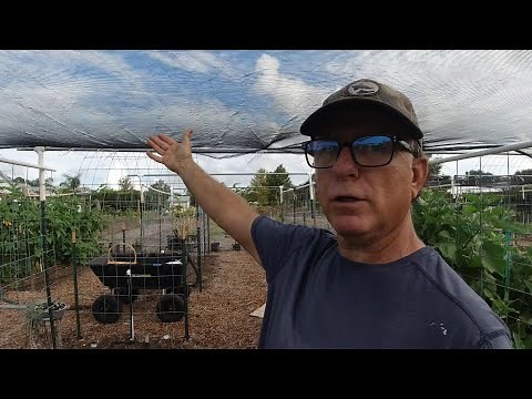 Installing 30% Shade cloth over Garden for Better Vegetation Growth and Health.