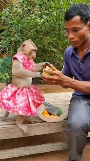 2.3K views · 72 reactions | Wow mango 省 yum yum yummy  | YaYa Note | Facebook