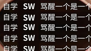 【全289集】比付费还强100倍的自学sw全套教程，全程通俗易懂，别再走弯路了，小白看完速通solidworks!!