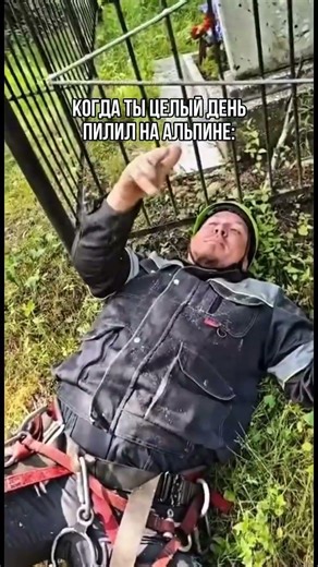 Лень повторять 😏 #работа #казань #татарстан #городскиелесорубы #спилдеревьев #арборист