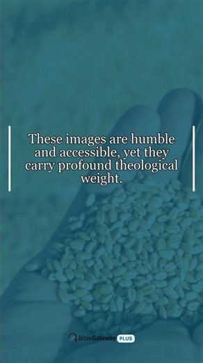 Understanding Jesus' Parables | The Mustard Seed