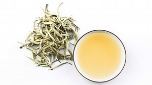 Camellia Sinensis Benefits: ನೀವು ಎಂದಾದರು ಕ್ಯಾಮಲಿಯಾ ಸೈನೆನ್ಸಿಸ್ ಟೀ ಟ್ರೈ ಮಾಡಿದ್ದೀರಾ?