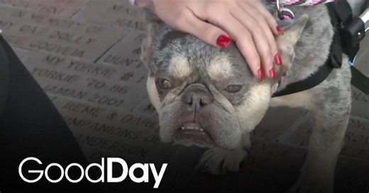 Sac SPCA Helps Relocate Animals from Fire-Affected Shelters