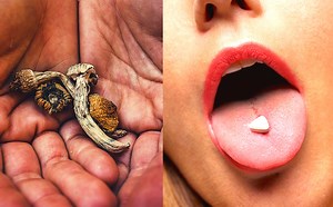 How Mixing Mushrooms and MDMA Affects Your Body and Brain