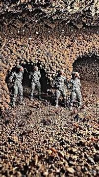 Following an Ant Into Its Hidden Underground City
