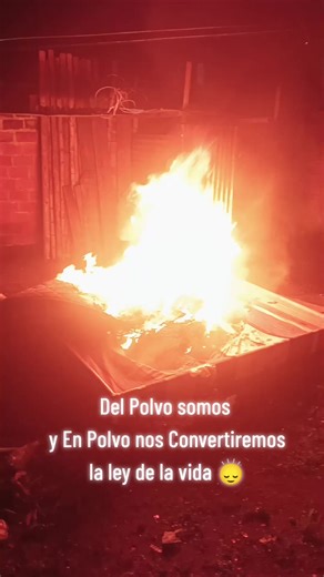 Videos de CAIMITO TV (@caimito_tv) con “sonido original - Viajero ligero”