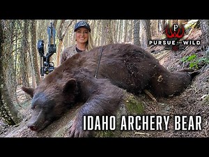 Idaho Public Land Black Bear Hunt