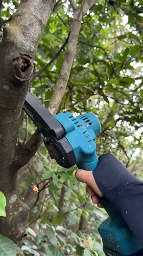 386 reactions · 23 shares | Branches shaking. Neighbors watching. The Seesii 6” Mini Chainsaw doesn’t waste time More details on: https://amzn.to/4lhLS1S #woodworking #woodscraft #woodcutting #chainsaw #seesii #powertools #cordlesstools | SEESII | Facebook