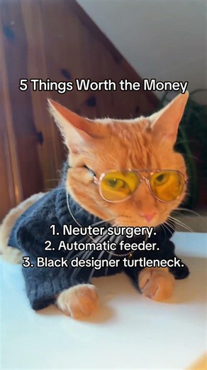 5 Things Worth the Money