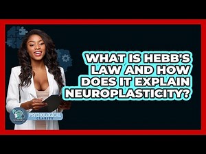 What Is Hebb's Law And How Does It Explain Neuroplasticity? - Psychological Clarity