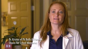 4.5K views · 102 reactions | What's the most important piece of advice Dr. Kristen received during her time in vet school? See how six vet students hold up at Penn Vet and catch Life at Vet U tonight at 10/9c! | Dogs 101 | Facebook