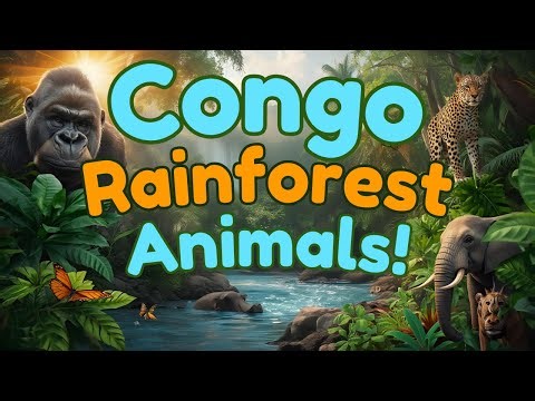 Meet Amazing Congo Rainforest Animals! | Educational Video For Kids