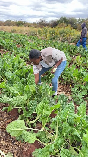 I Wanna Be Rich: A Dream of Wealth and Happiness