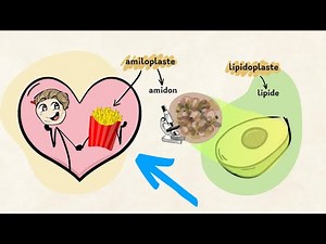 „Acum îmi este mult mai ușor la biologie! Mulțumesc, Eduboom!"