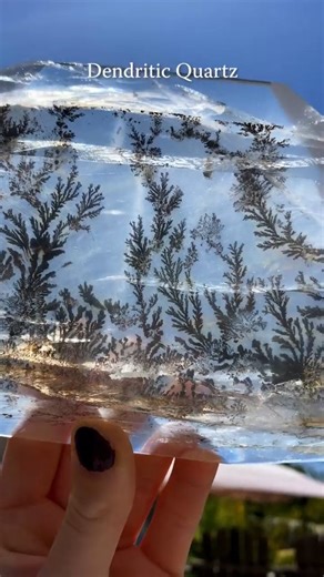 Education on Instagram: "Dendritic Quartz Quartz with manganese/iron oxide inclusions forming tree-like dendrites—these patterns are mineral growths, not fossils. Calcite Calcium carbonate (CaCO₃) found in sedimentary, metamorphic, and igneous rocks; known for perfect rhombohedral cleavage. Amethyst Purple variety of quartz colored by iron impurities and natural radiation; commonly forms in volcanic geodes. Goethite An iron oxyhydroxide mineral formed by weathering of iron-rich rocks; major comp