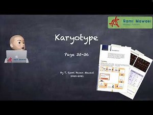 Karyotype