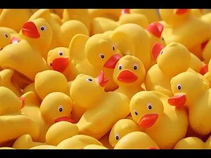Rubber Duck Squeeze: Hilarious and Squeaky Sounds