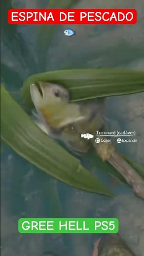 CÓMO CONSEGUIR AGUJAS FÁCIL en GREEN HELL (Tutorial Rápido) #pesca #fishing #fish #carpfishing ö