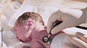 Newborn baby in hospital. Maternity professional pediatrician. Doctor examines a newborn baby in the first few minutes of life. A newborn baby in the hospital - the first minutes of the new life