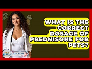 What Is The Correct Dosage Of Prednisone For Pets? - Ask A Pet Vet
