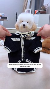 $7.99 with free shipping!⚡ Special Prices on DHgate APP ❄️ As the temperatures drop, make sure your pup stays warm and fashionable with our premium pet sweater. 🛒https://cutt.ly/4eXxF8GC 💸More pet supplies with best prices: https://cutt.ly/4eXyBcMw #petsupplies #warm #fashion #petlover #sale #winter | DHgate