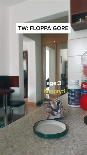 rip floppa #floppa #fr #humor #fypシ #foryou #viral #fy TikTok