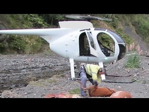 Helicopter hunting in New Zealand.