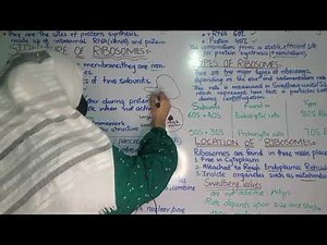 Ribosomes|Structure, Function & Types Class11|Biology Chapter3|New Syllabus 2025|SmartBioSimplified