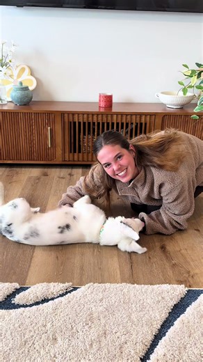 Effective Training Tips for Your Deaf Puppy