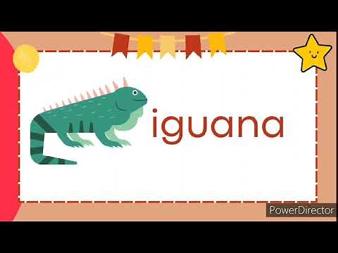 Vowel Letters | Letter Sounds | Letters of the Alphabet | Phonics | Vowels
