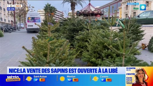 Nice: le marché des sapins ouverte à la Gare du Sud