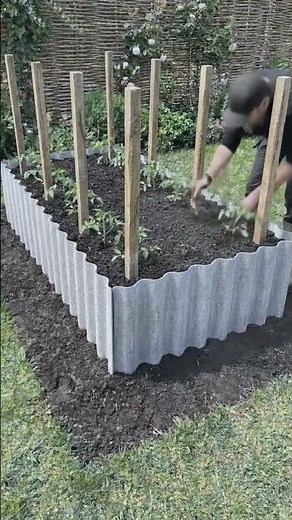 They built the perfect raised bed for growing tomatoes 🌱🍅 (AI)