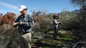 Researchers map springs across the Mojave Desert