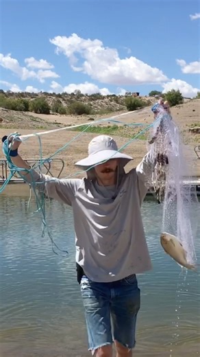 How to locate and net Shad!