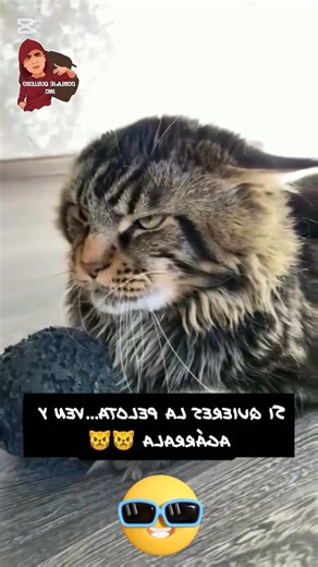 Ven quitamelo | Jhonky castaño