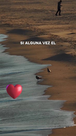 El verdadero amor: Reflexiones sobre el amor sincero