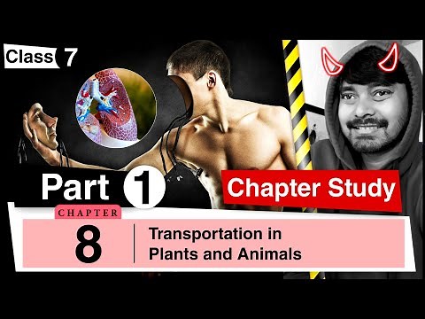 Chapter 8 | Transportation in Plants & Animals | Class 7 DAV Science | Chapter Study | (Part 1)