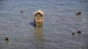 INTEROPERABILITY | Relive the action during the PH Navy-hosted Maritime Inter-Agency Exercise 2021-02 The Naval Forces Eastern Mindanao (NFEM) and other maritime agencies in the area took part in the interagency exercise held in Brgy. Punta Bilar, Surigao City, Surigao del Norte last November 5. Watch it also here: https://www.facebook.com/watch/?v=1777812022429935 For more details, click the NFEM story: https://www.facebook.com/navalforceseasternmindanao/posts/2235056749970500 (Video credits: N