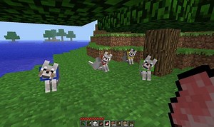 Top 5 things you probably didn't know about wolves in Minecraft