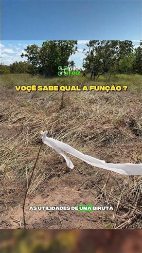 Is a windsock actually mandatory for agricultural drone operations, or is that just an exaggeration?
