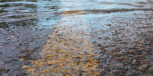 Danville prepares for Tuesday winds and rain