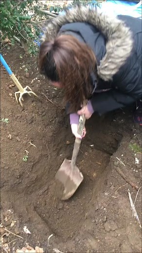 Digging Grave for Our Beloved Cat | A Heartwarming Farewell Story