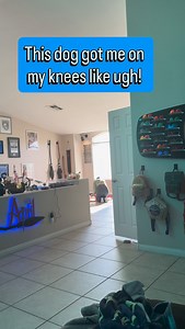 13K views · 558 reactions | Puppies are cute until they don’t listen. Potty training nearly complete…. But with some accidents along the way. | April Rye | Facebook