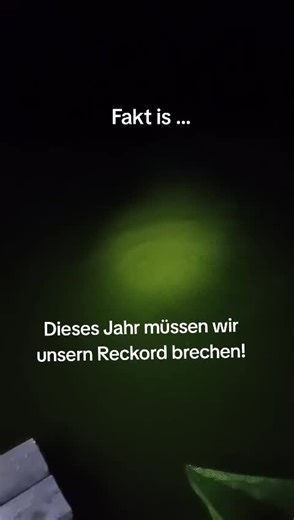 Karpfen Angeln: Unser Rekordversuch in diesem Jahr!