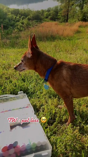 Charlie was the BEST chalk assistant. I’m devastated he had to go, but he left the sweetest paw print on my heart. 🥹🐾❤️ #dogloss #alldogsgotoheaven